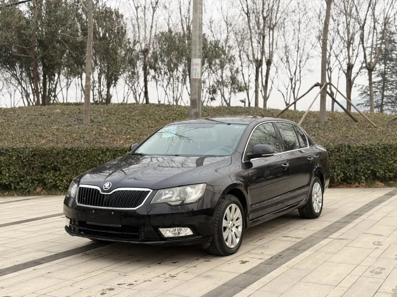 Skoda Speedy  из Китая