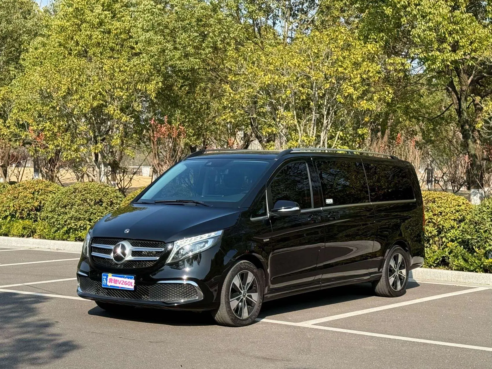 Mercedes-Benz Mercedes Benz V Class  из Китая