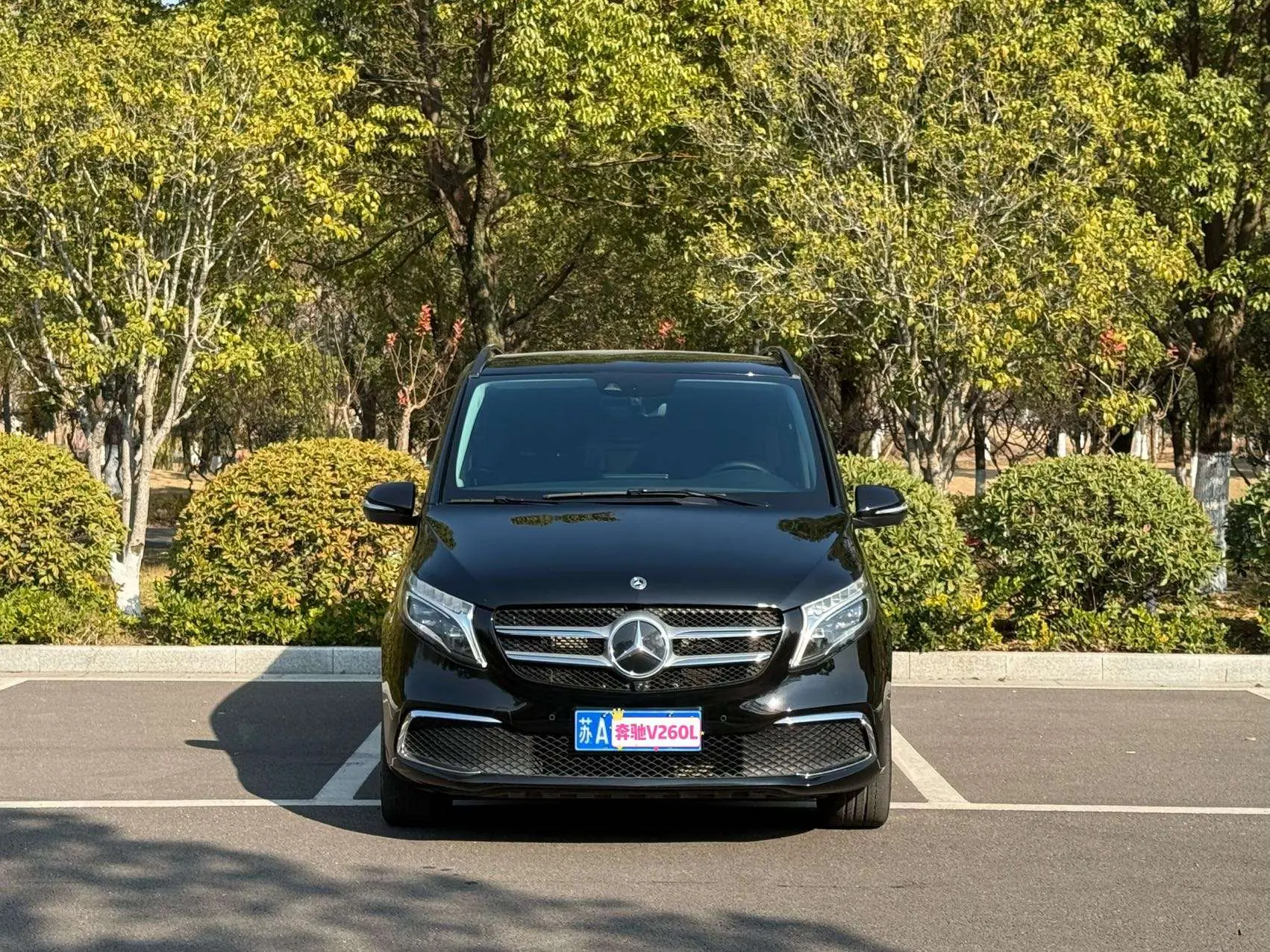 Mercedes-Benz Mercedes Benz V Class  из Китая