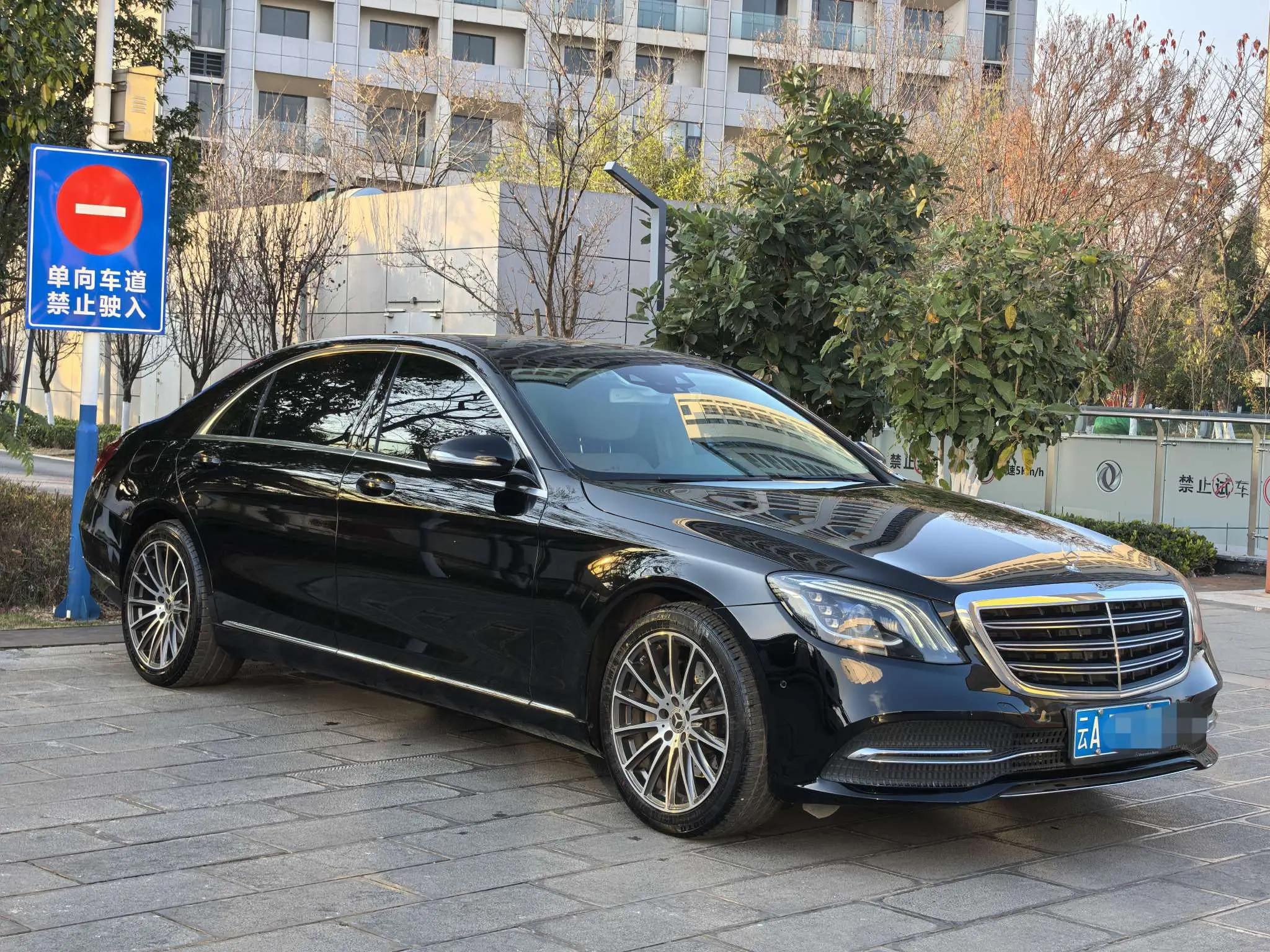 Mercedes-Benz Mercedes Benz S Class  из Китая