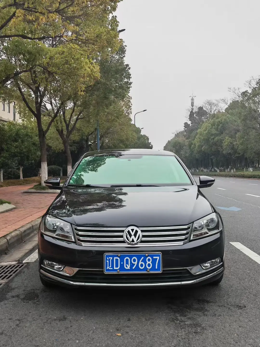 Volkswagen Magotan  из Китая