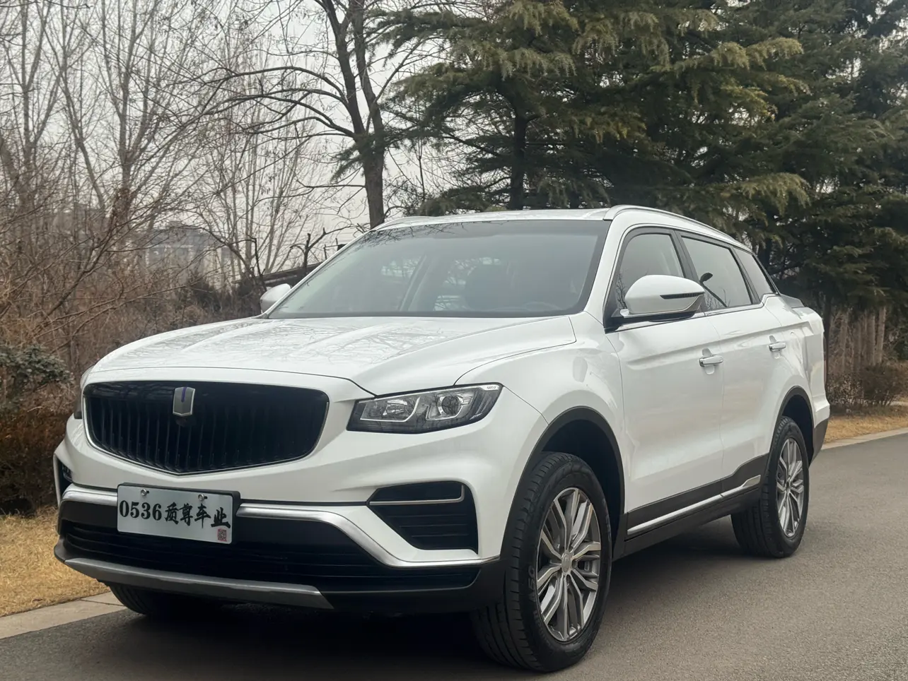 Remote Geely  FX  из Китая