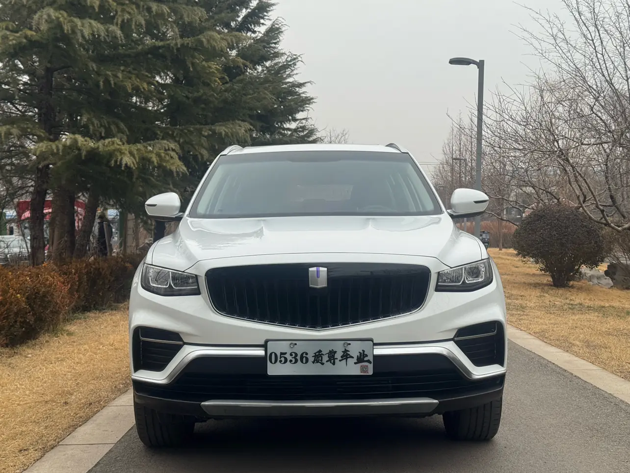 Remote Geely  FX  из Китая