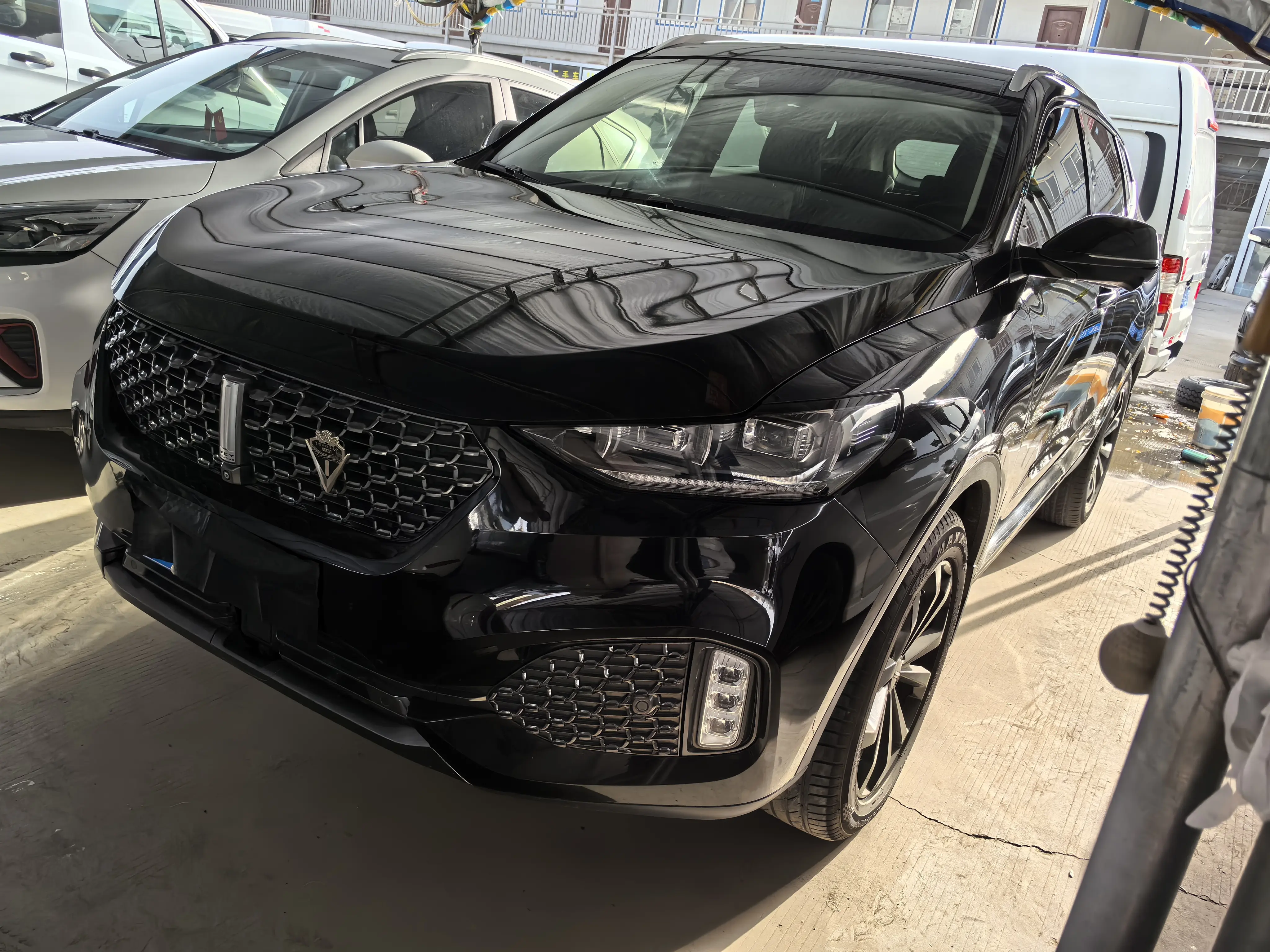 Wey Wei brand VV6  из Китая