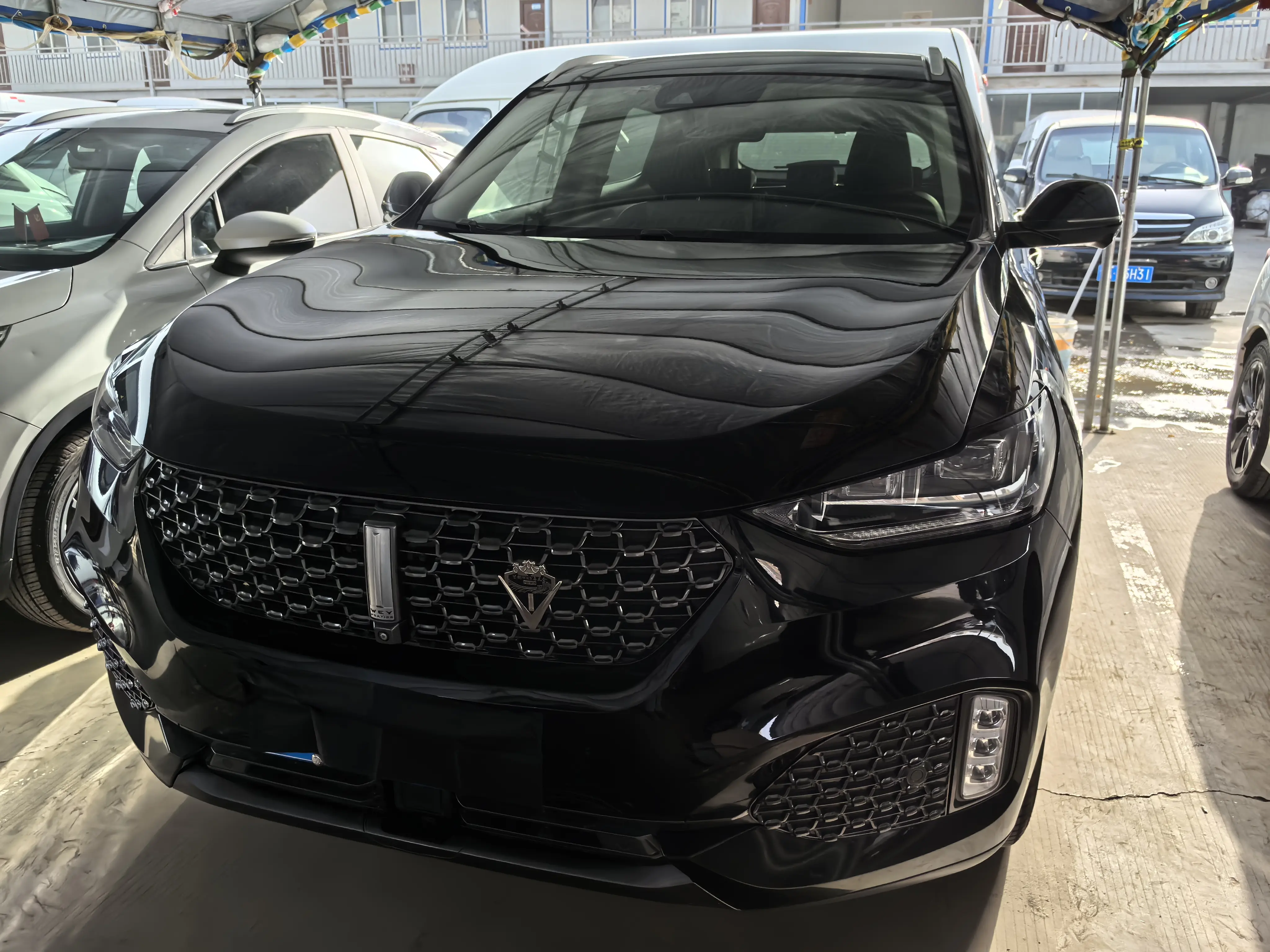 Wey Wei brand VV6  из Китая