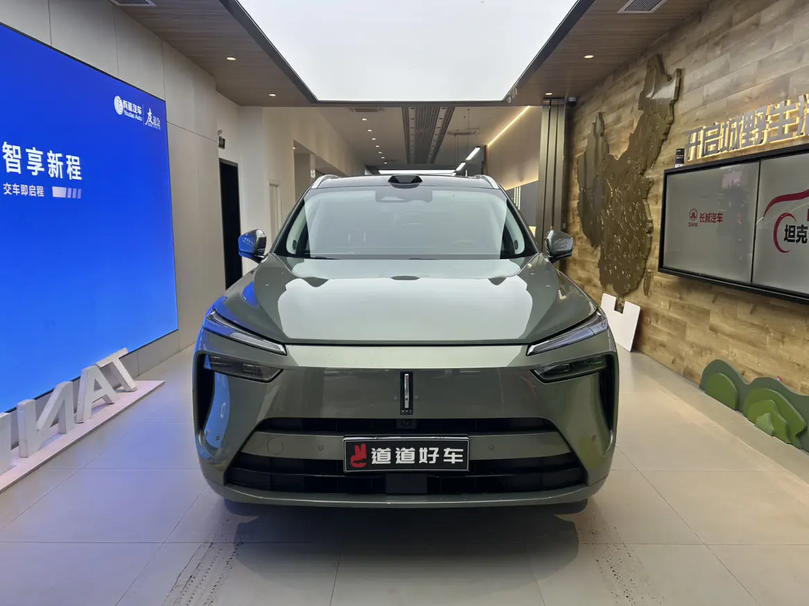 Wey Blue Mountain  из Китая