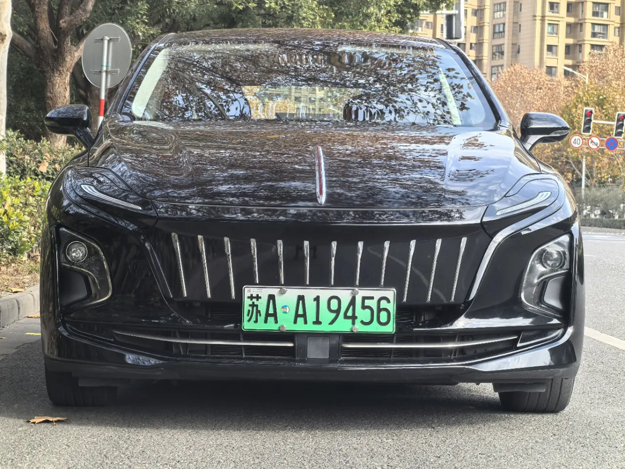 Hongqi E-QM5  из Китая