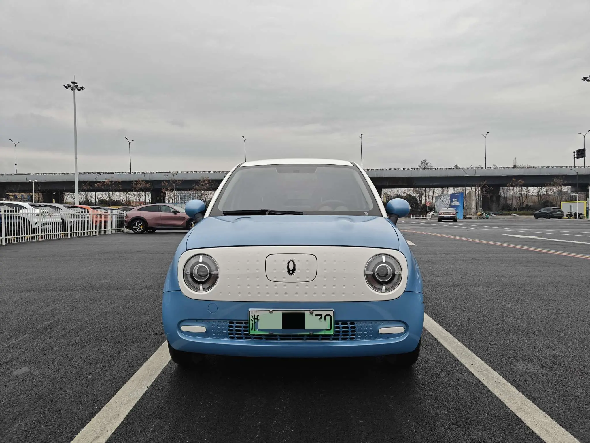 ORA Euler black cat  из Китая