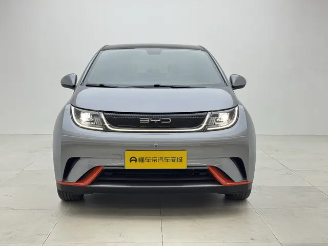 BYD Dolphin  из Китая