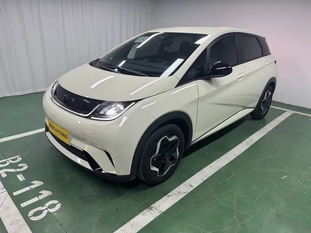 BYD Dolphin  из Китая
