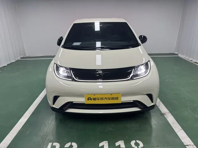 BYD Dolphin  из Китая