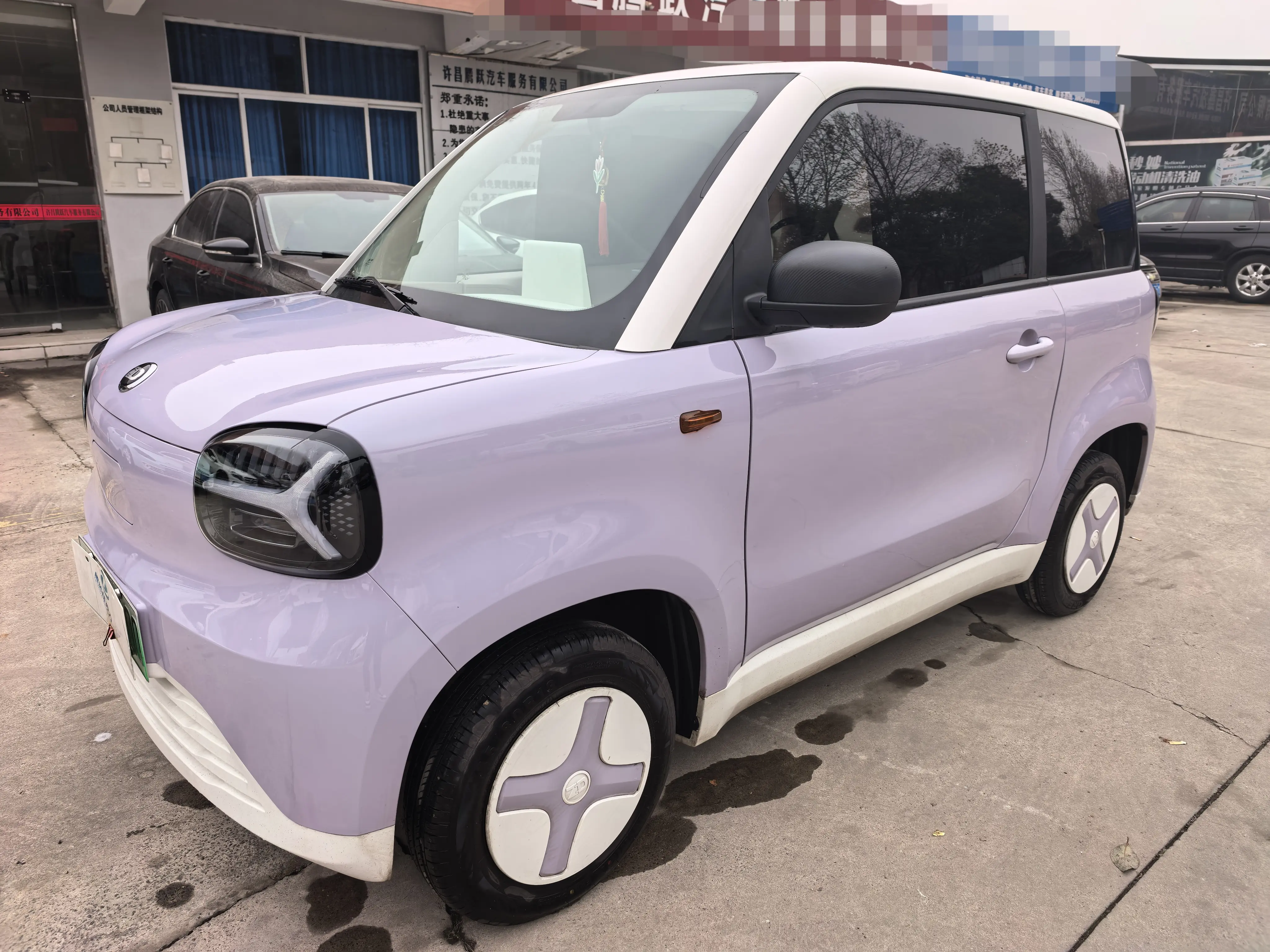 Zhidou Rainbow  из Китая