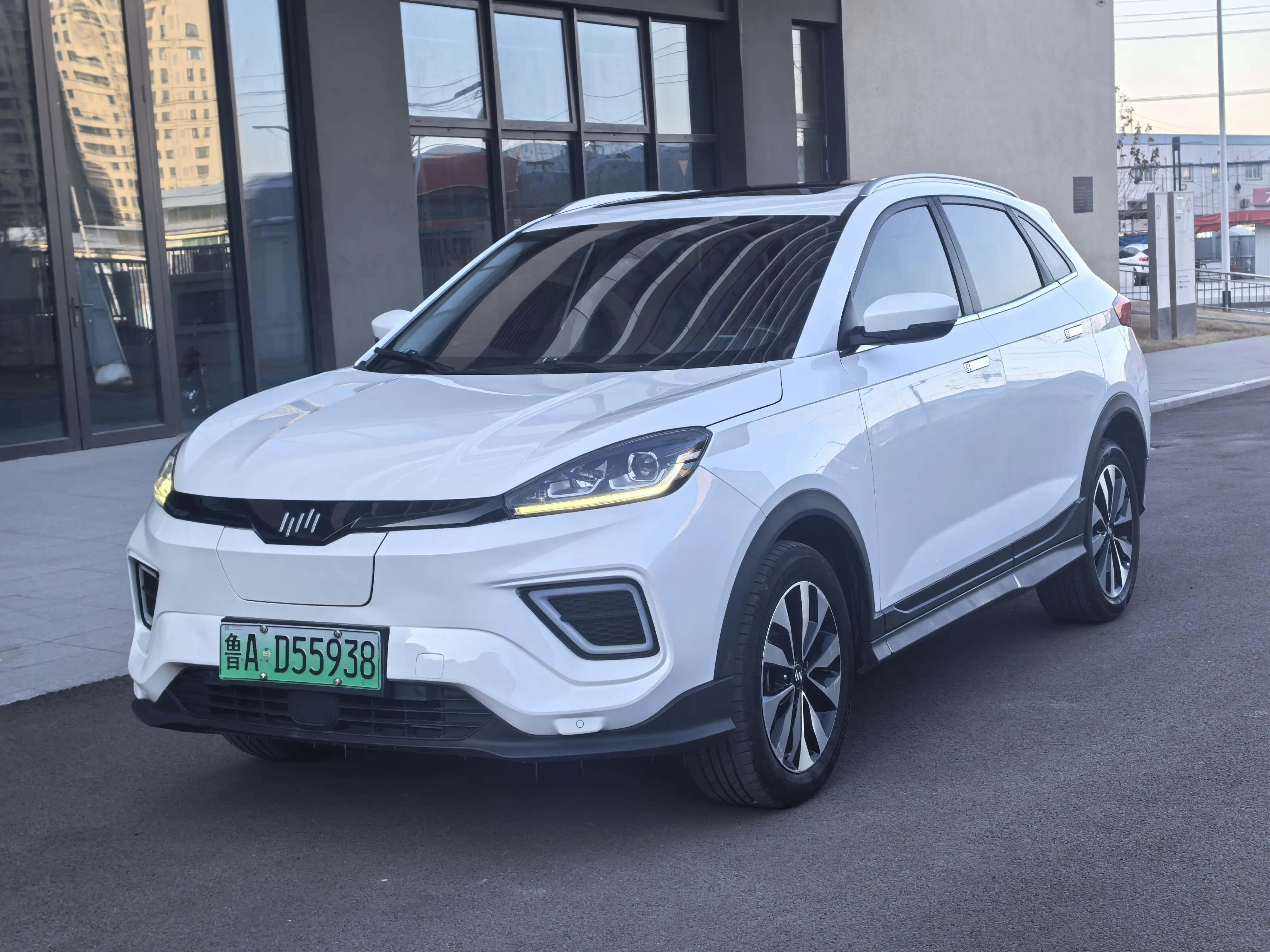 Weltmeister WM EX5  из Китая