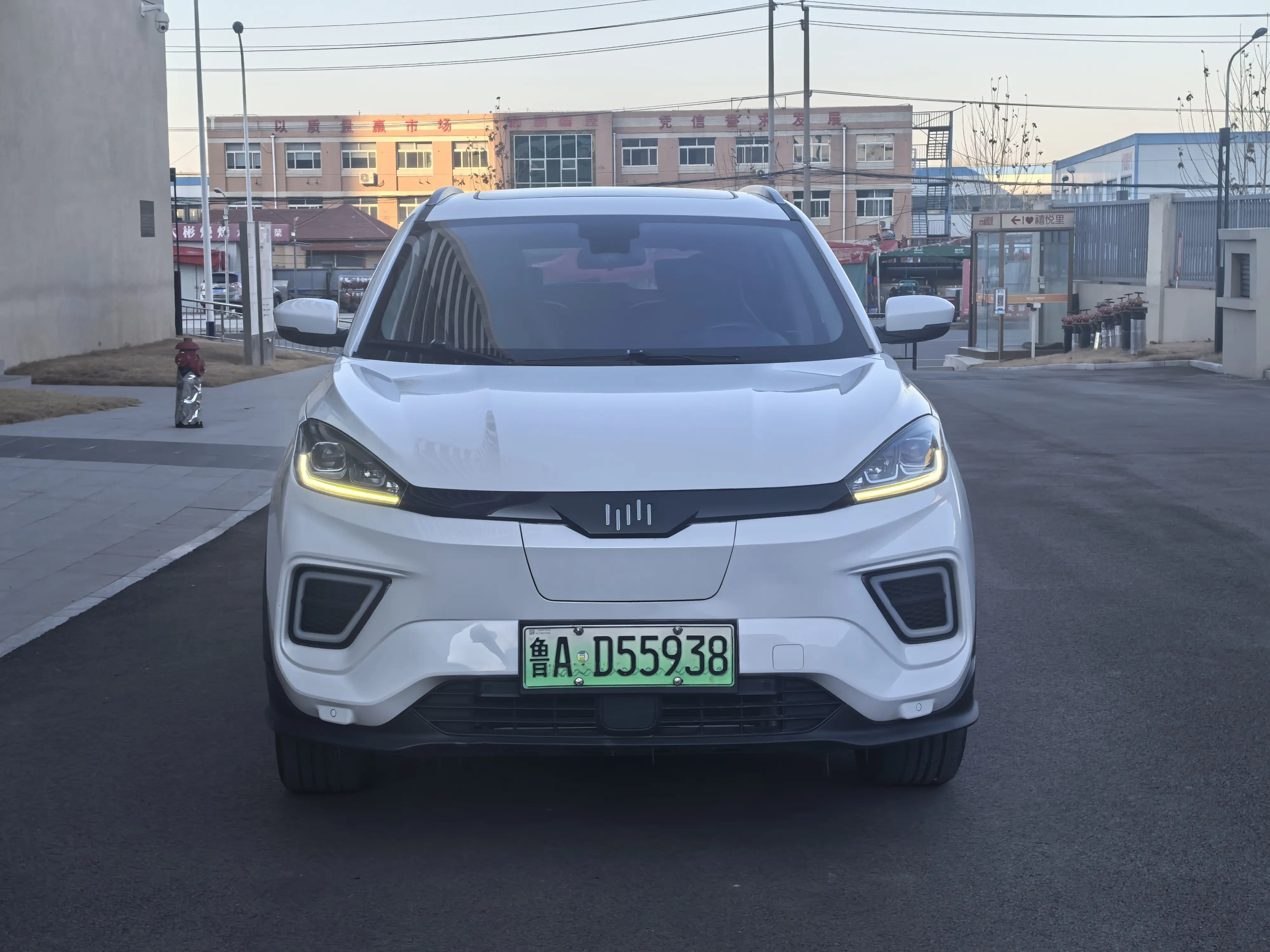 Weltmeister WM EX5  из Китая