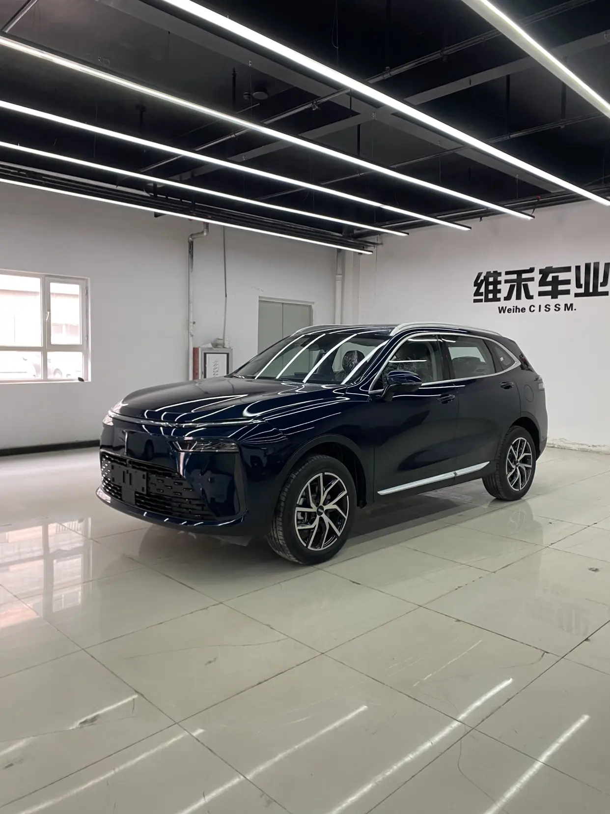 Wey Latte PHEV  из Китая