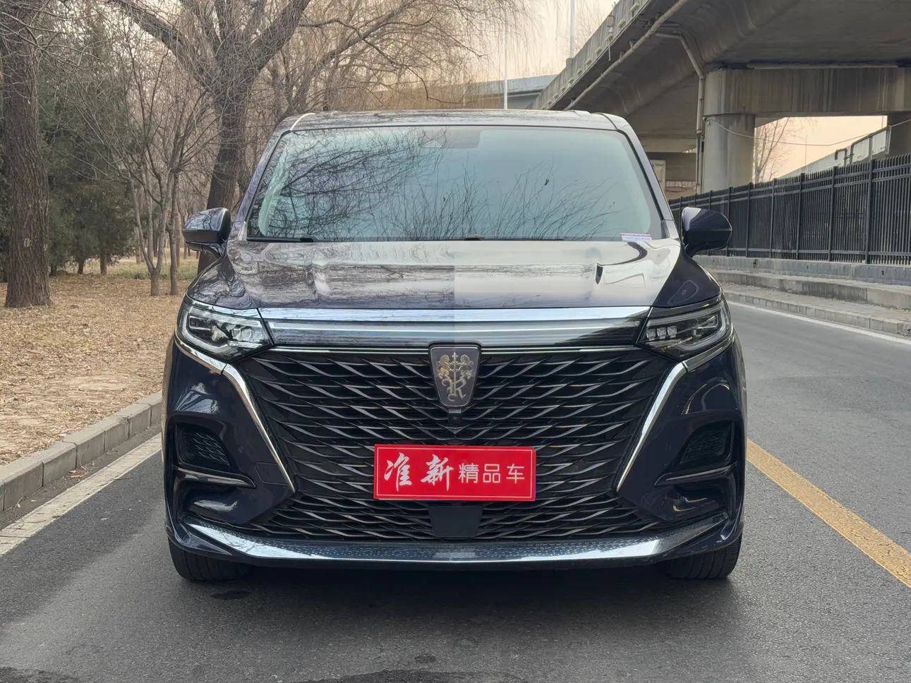 Roewe iMAX8  из Китая