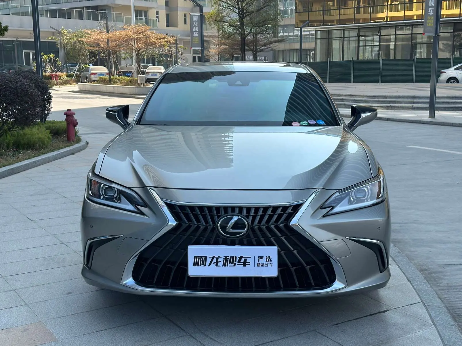 Lexus ES  из Китая
