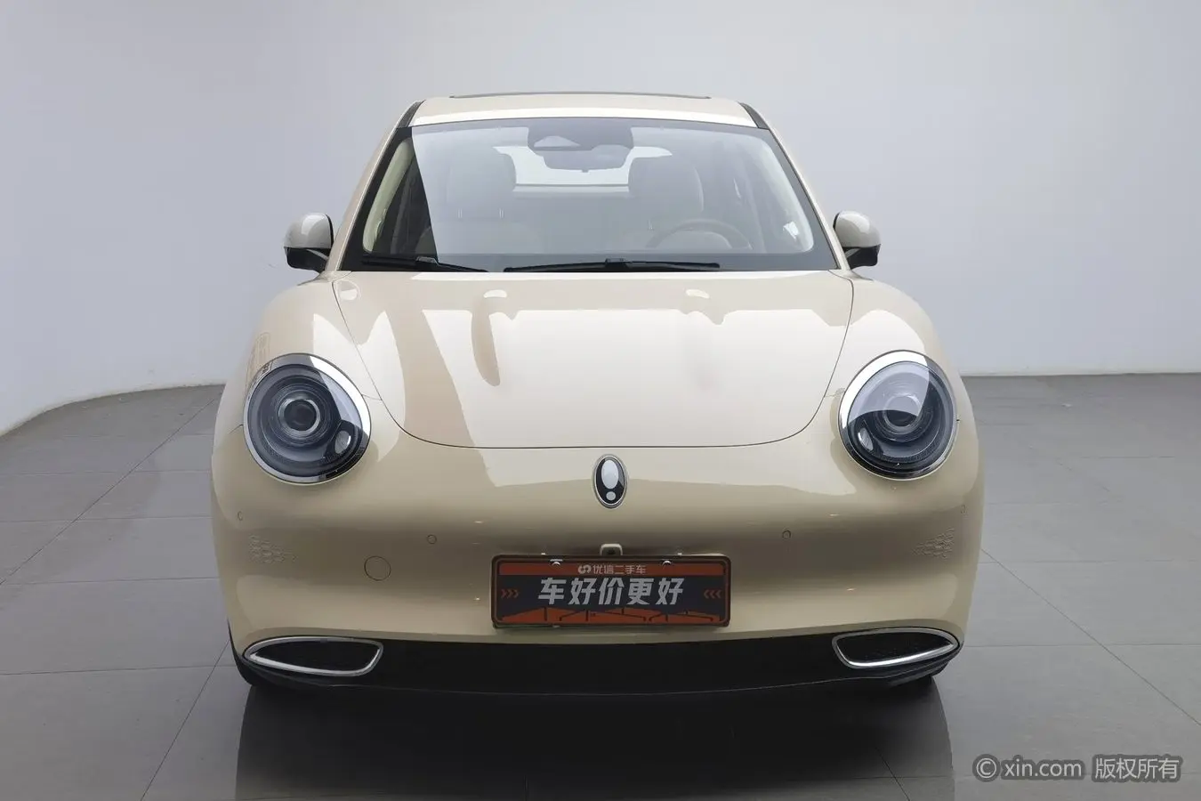 ORA Euler good cat  из Китая