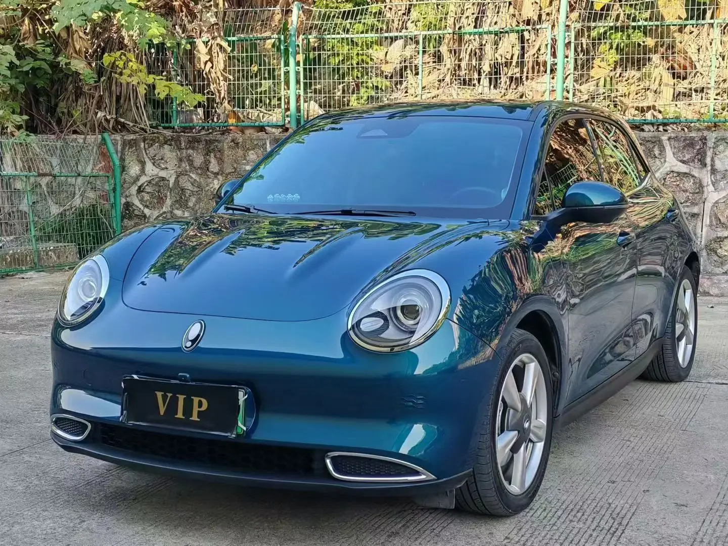 ORA Euler good cat  из Китая