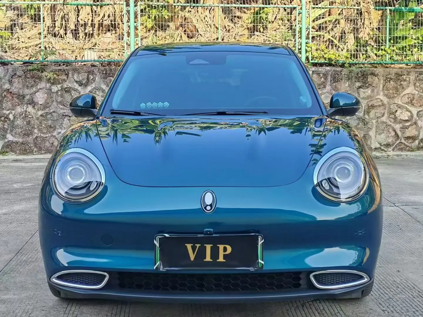 ORA Euler good cat  из Китая