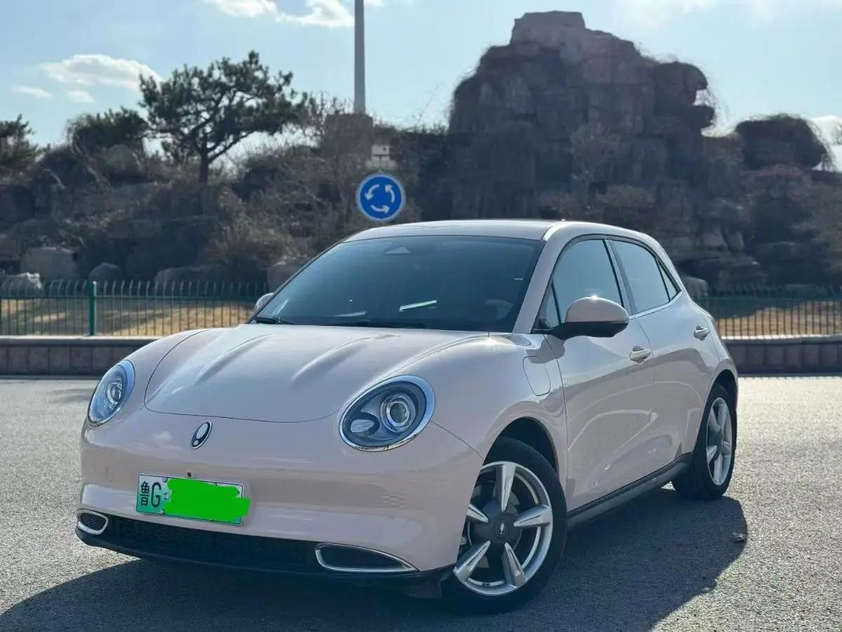 ORA Euler good cat  из Китая