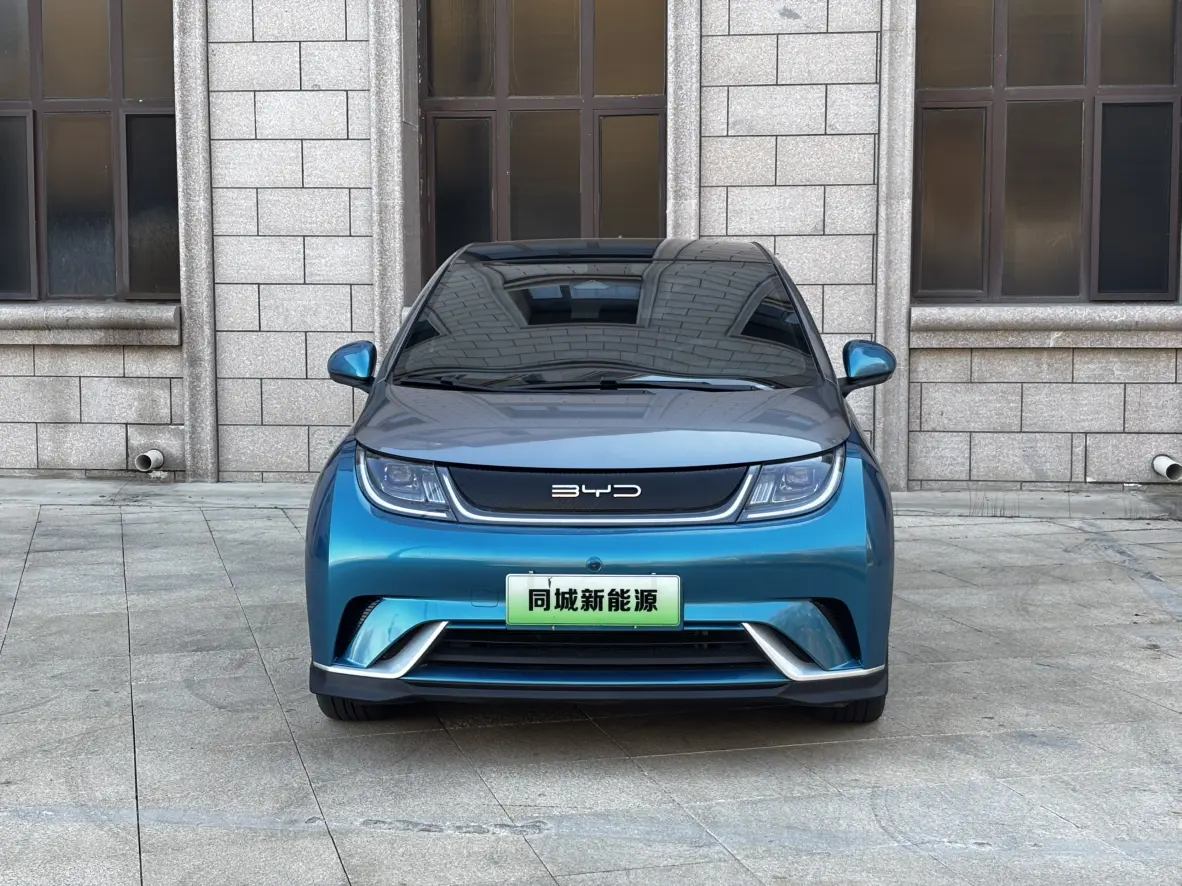 BYD Dolphin  из Китая