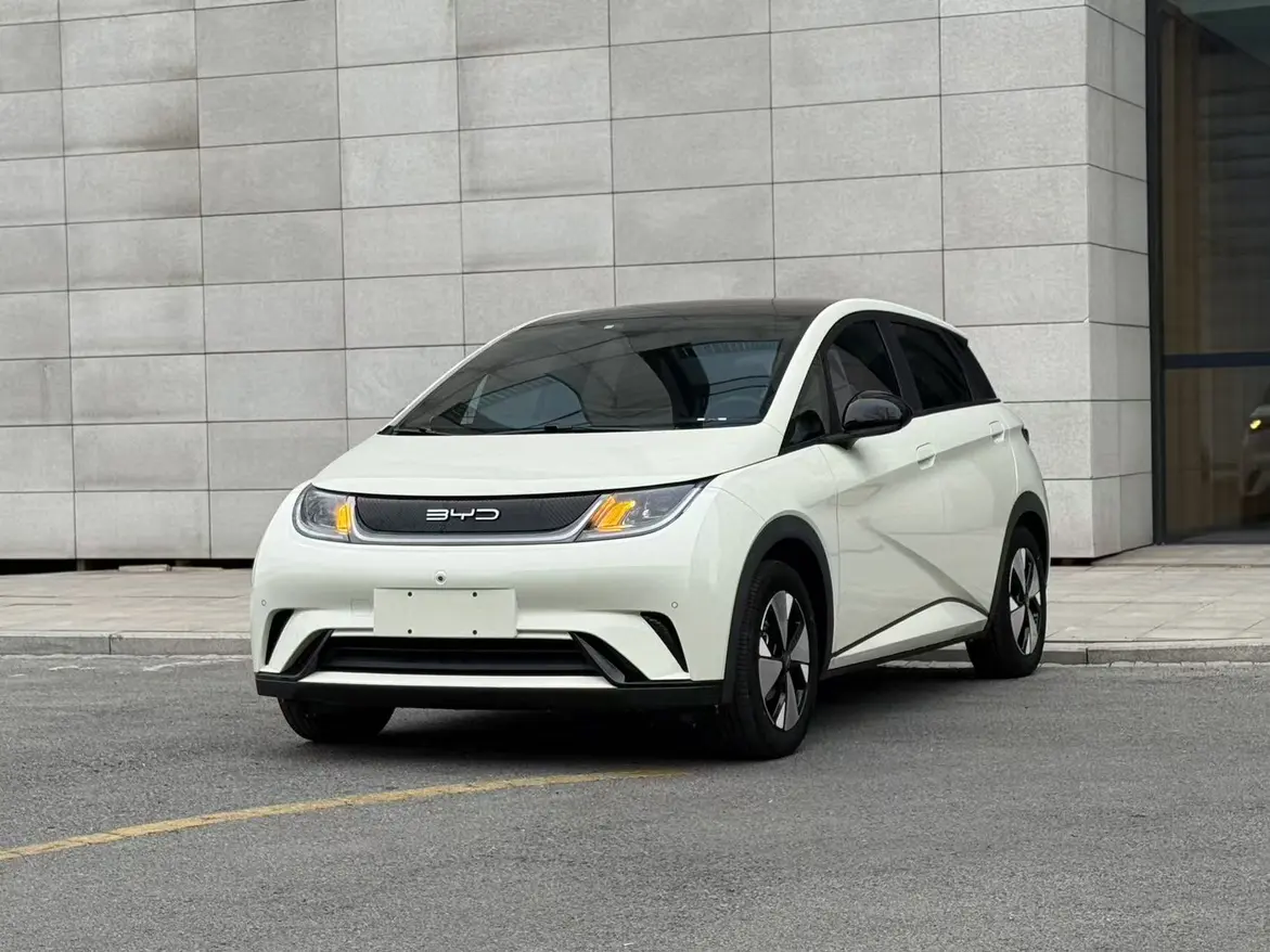 BYD Dolphin  из Китая