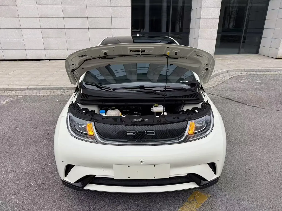 BYD Dolphin  из Китая