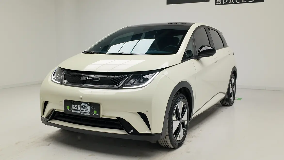 BYD Dolphin  из Китая