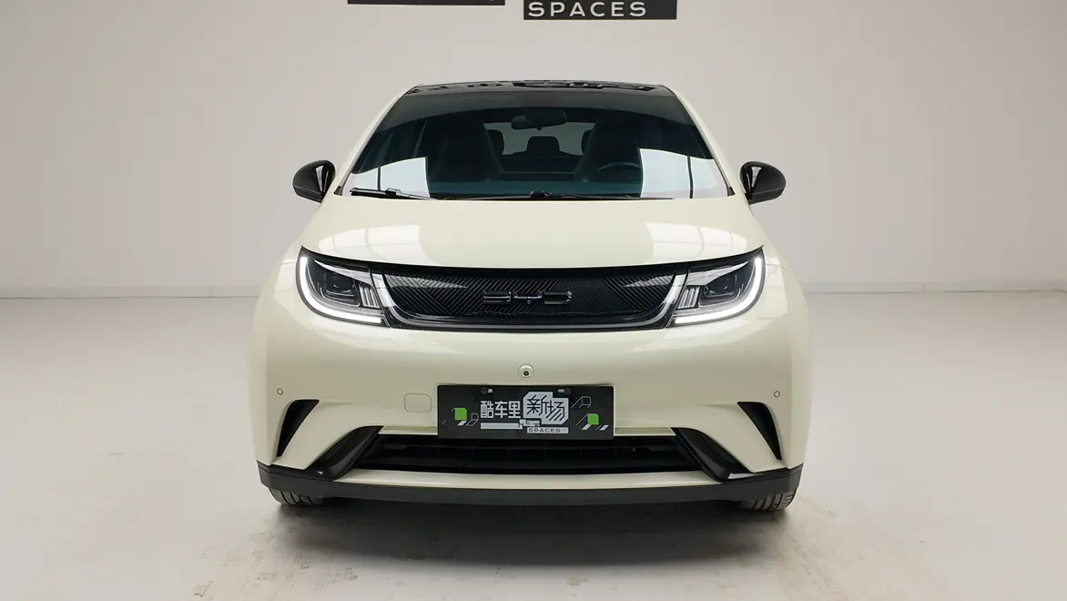 BYD Dolphin  из Китая