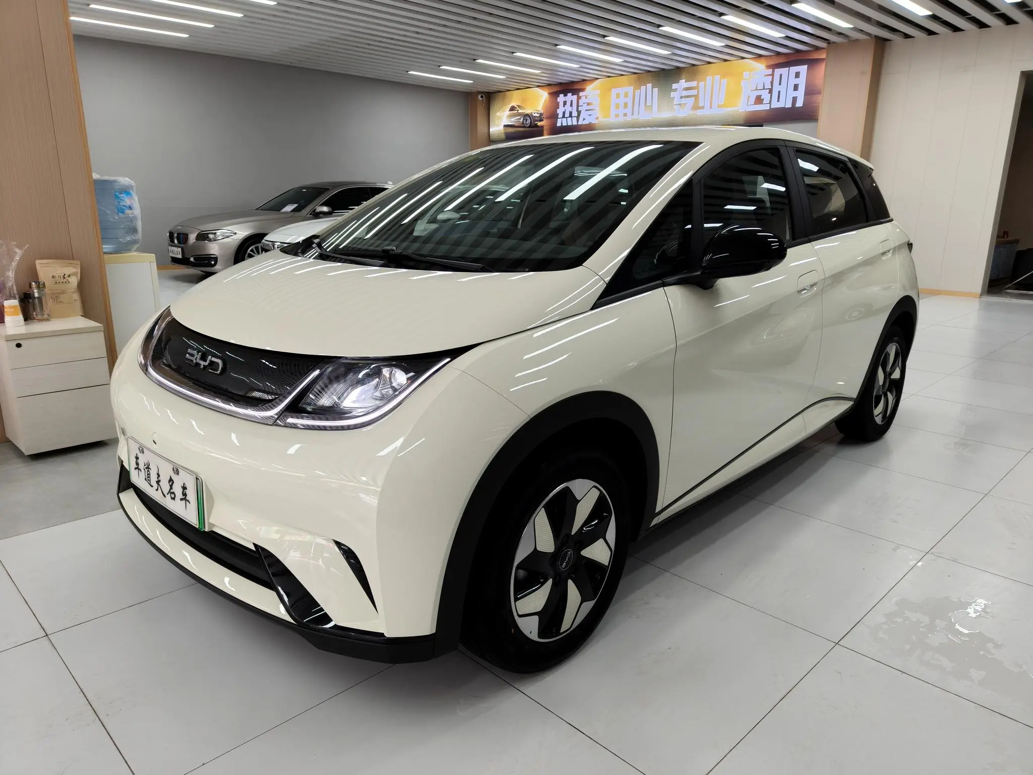 BYD Dolphin  из Китая