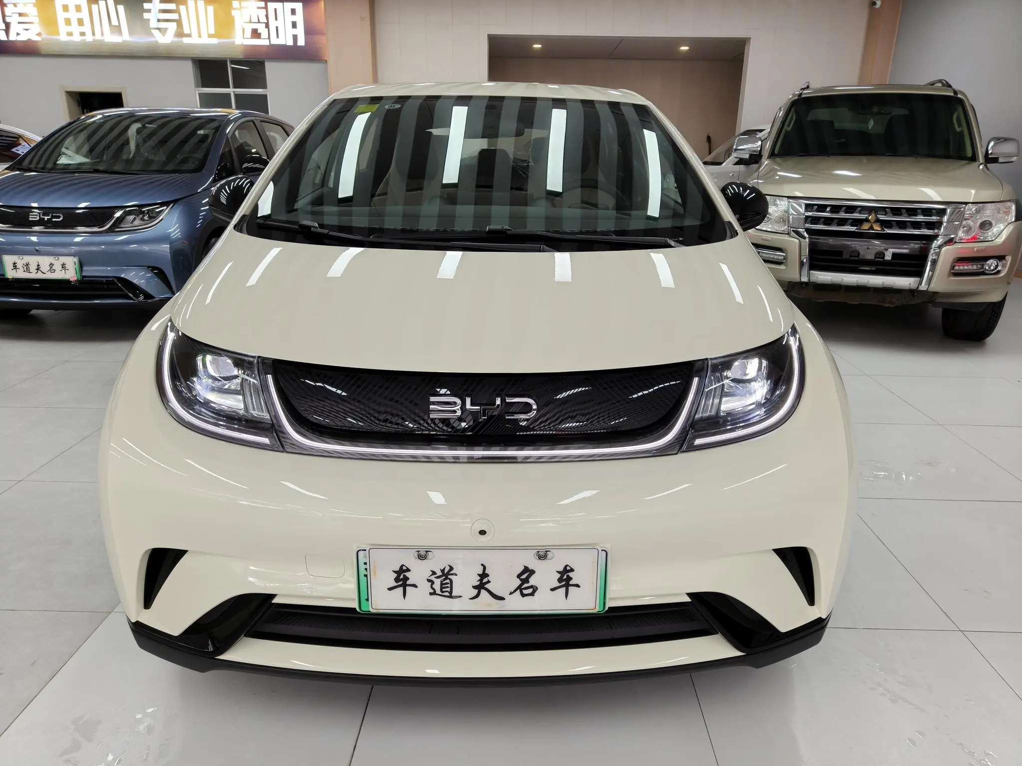 BYD Dolphin  из Китая