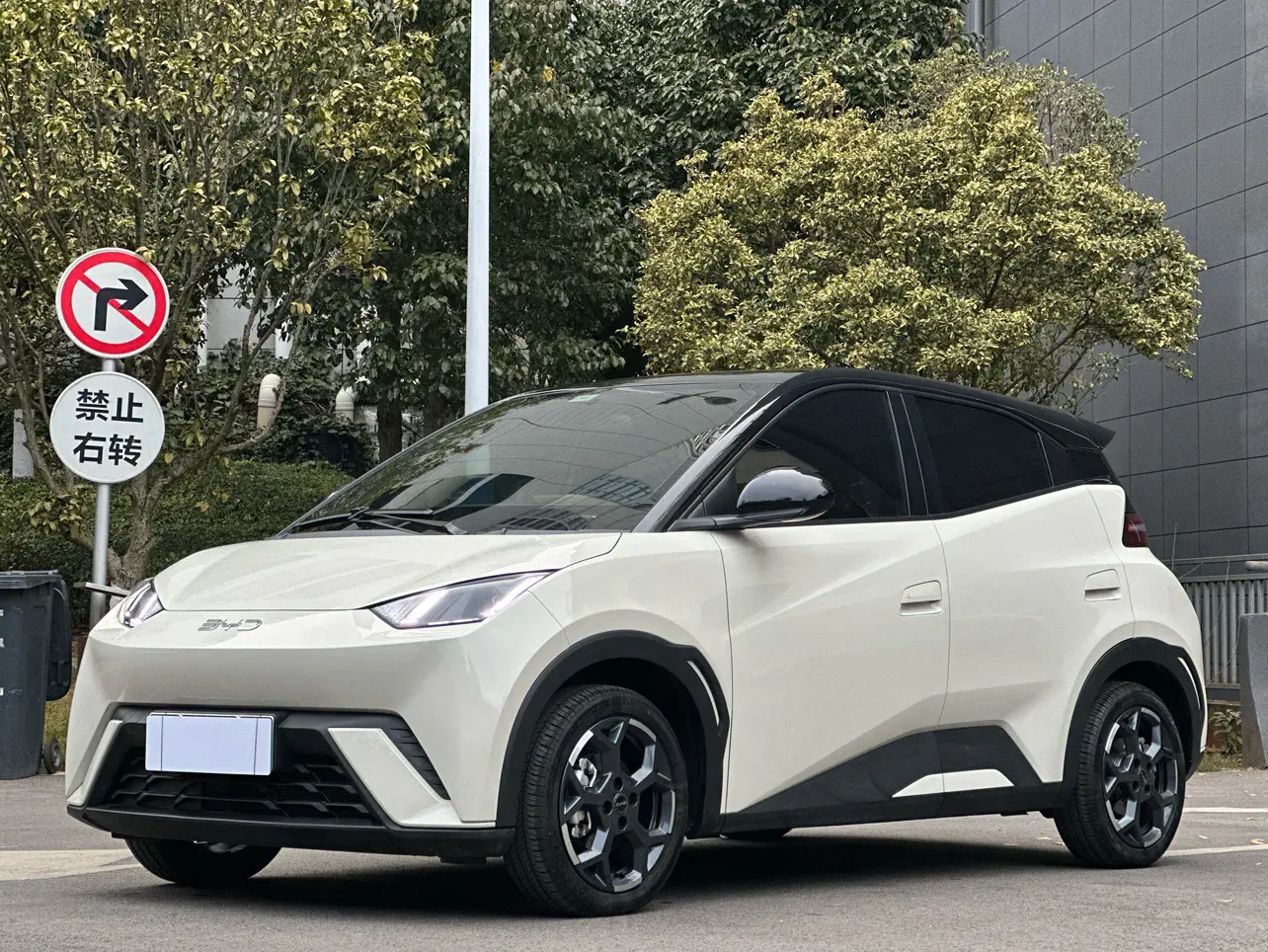 BYD Seagull  из Китая