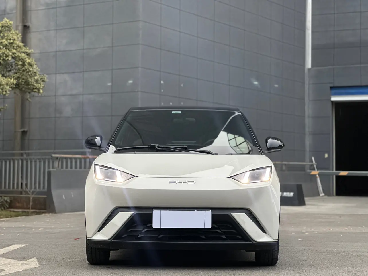 BYD Seagull  из Китая