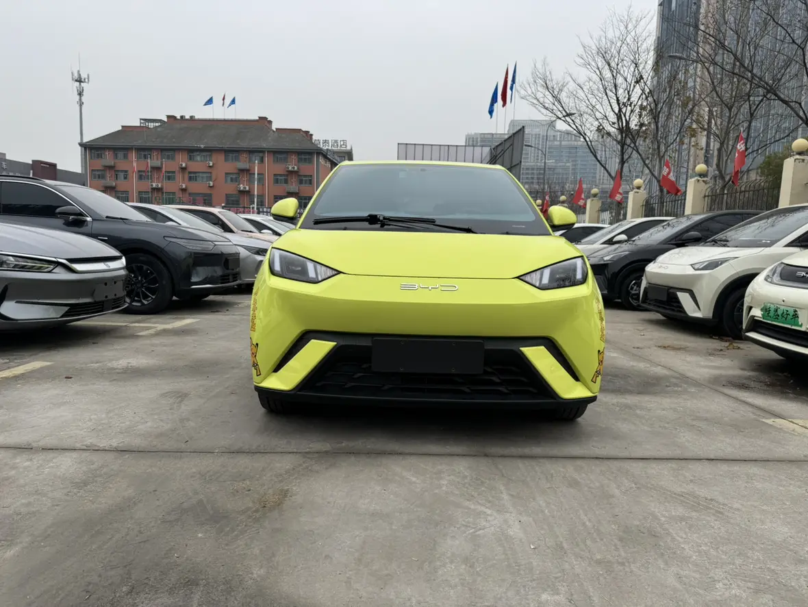 BYD Seagull  из Китая