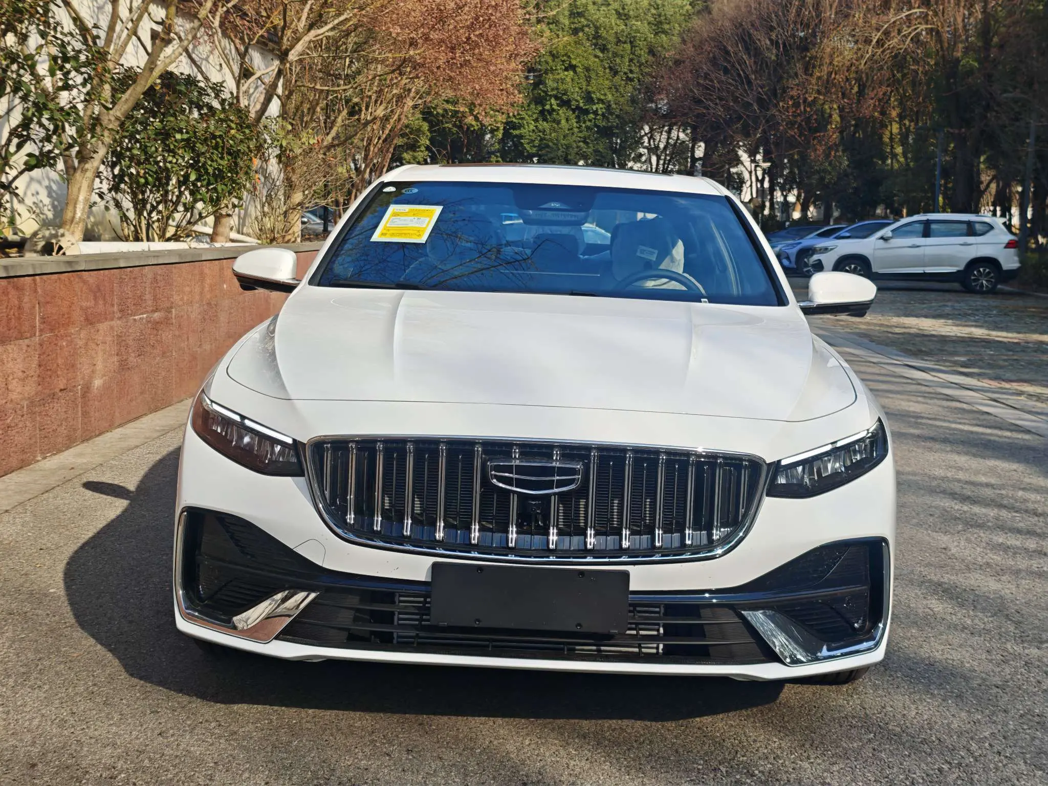 Geely Xing Rui  из Китая