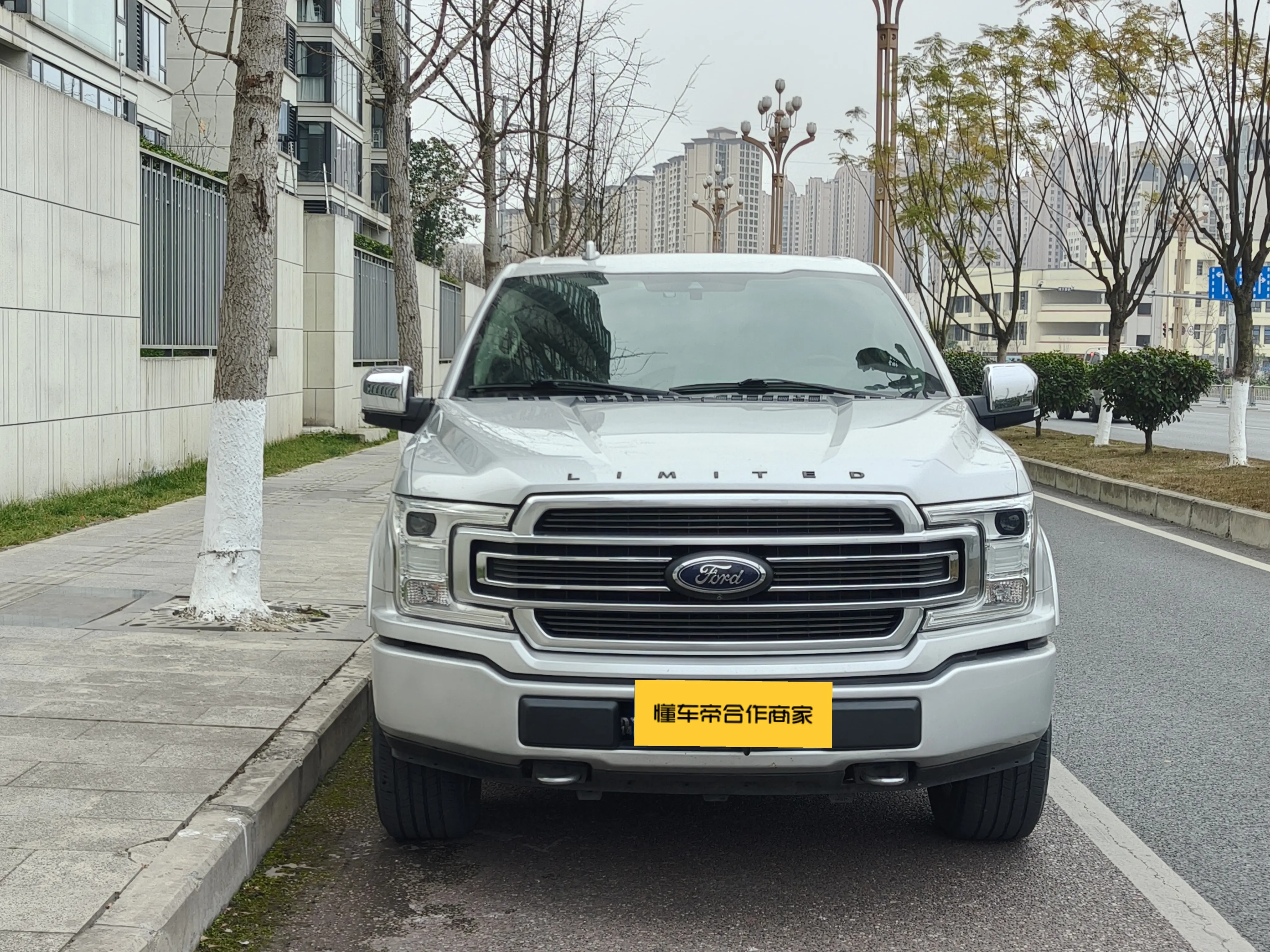 Ford F-150  из Китая