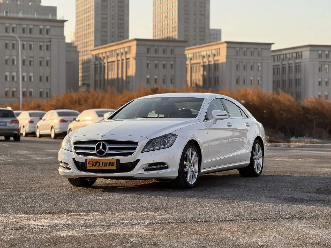 Mercedes-Benz Mercedes Benz CLS  из Китая