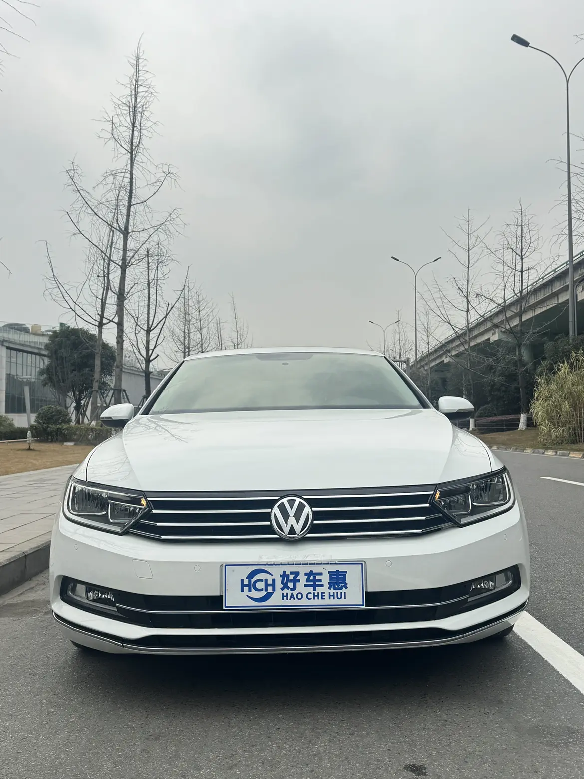 Volkswagen Magotan  из Китая