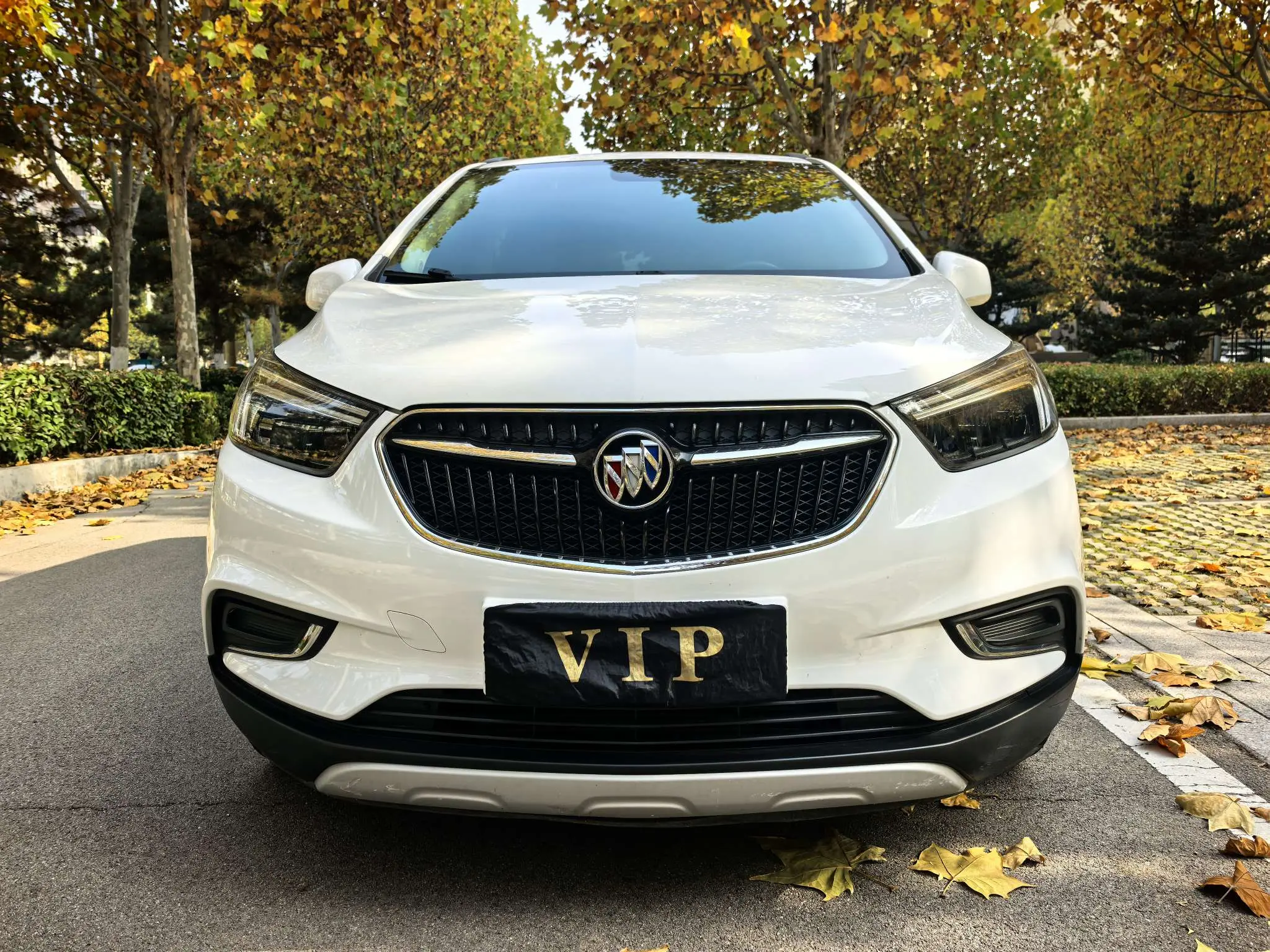 Buick Onkola  из Китая