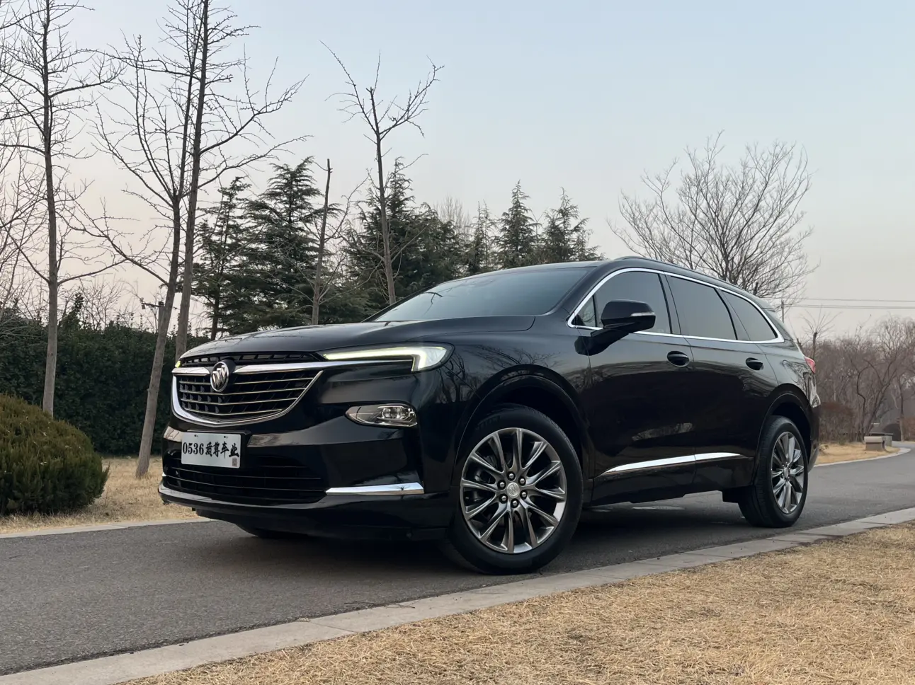 Buick Angke Banner  из Китая