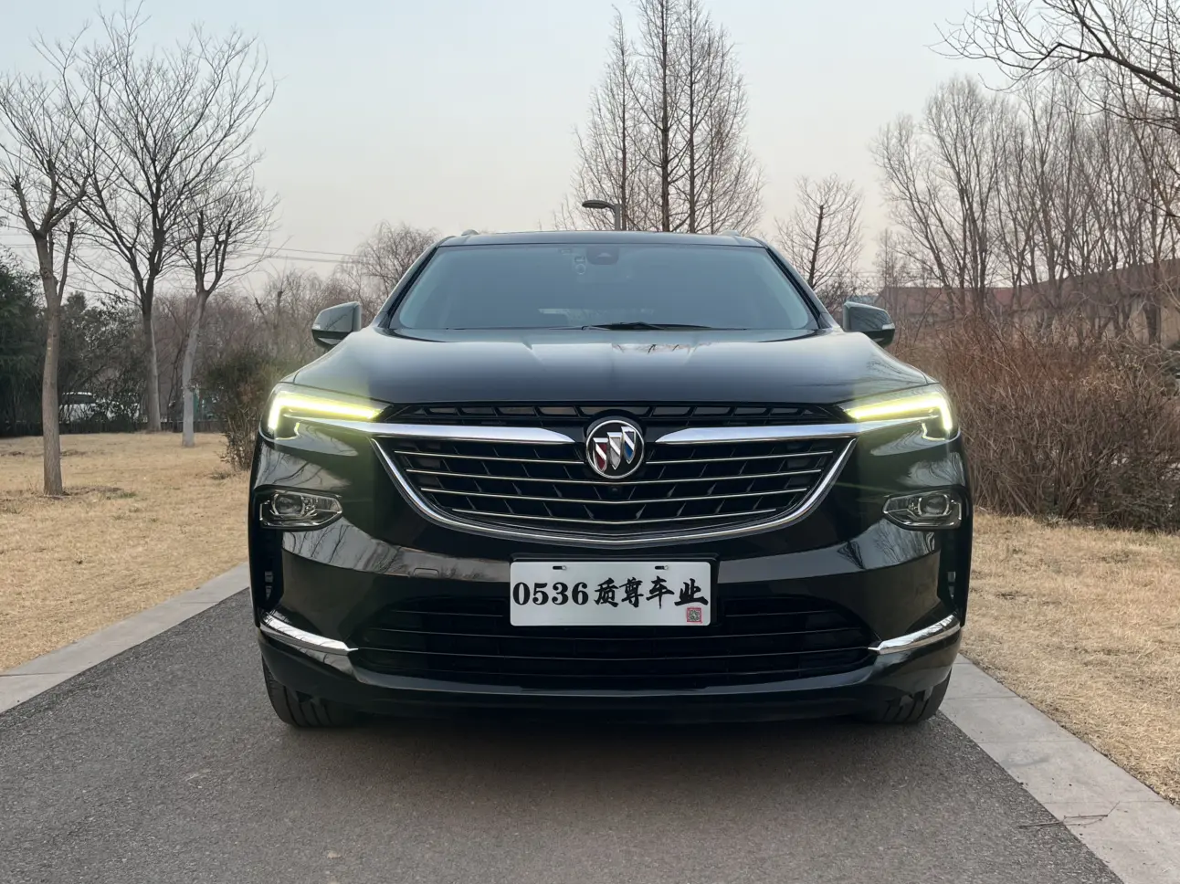 Buick Angke Banner  из Китая