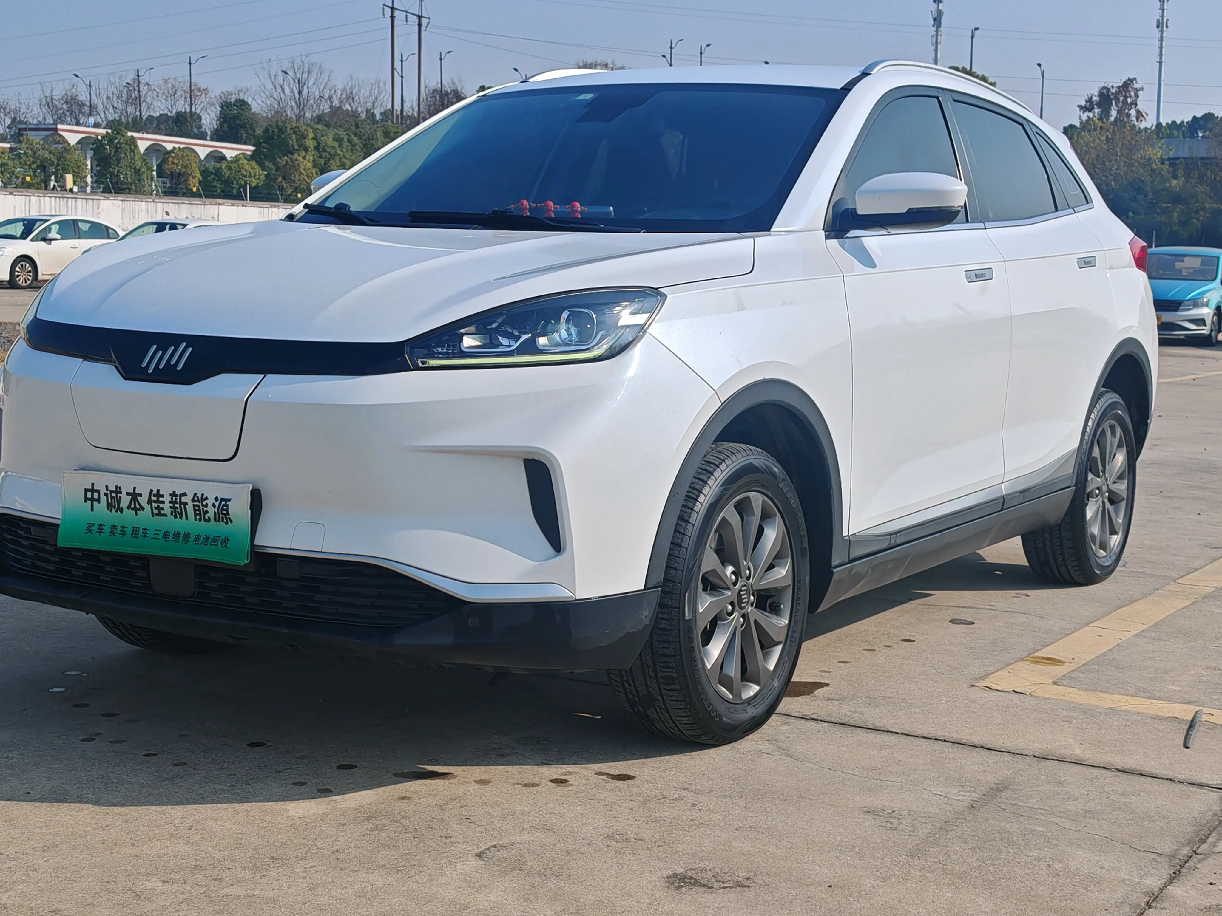 Weltmeister WM EX5  из Китая