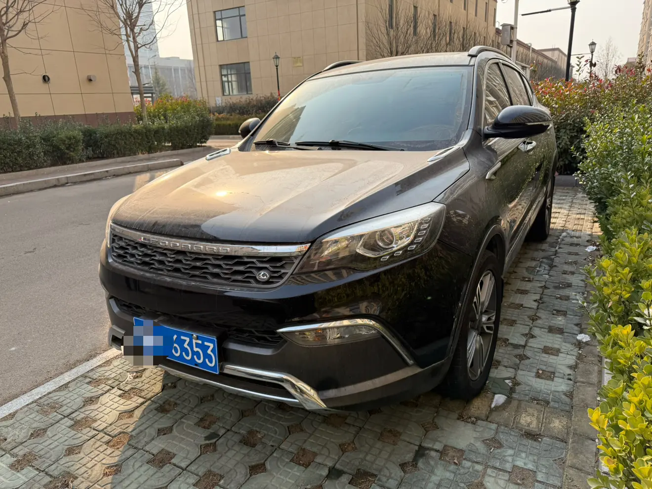 Cheetah cars Cheetah CS10  из Китая