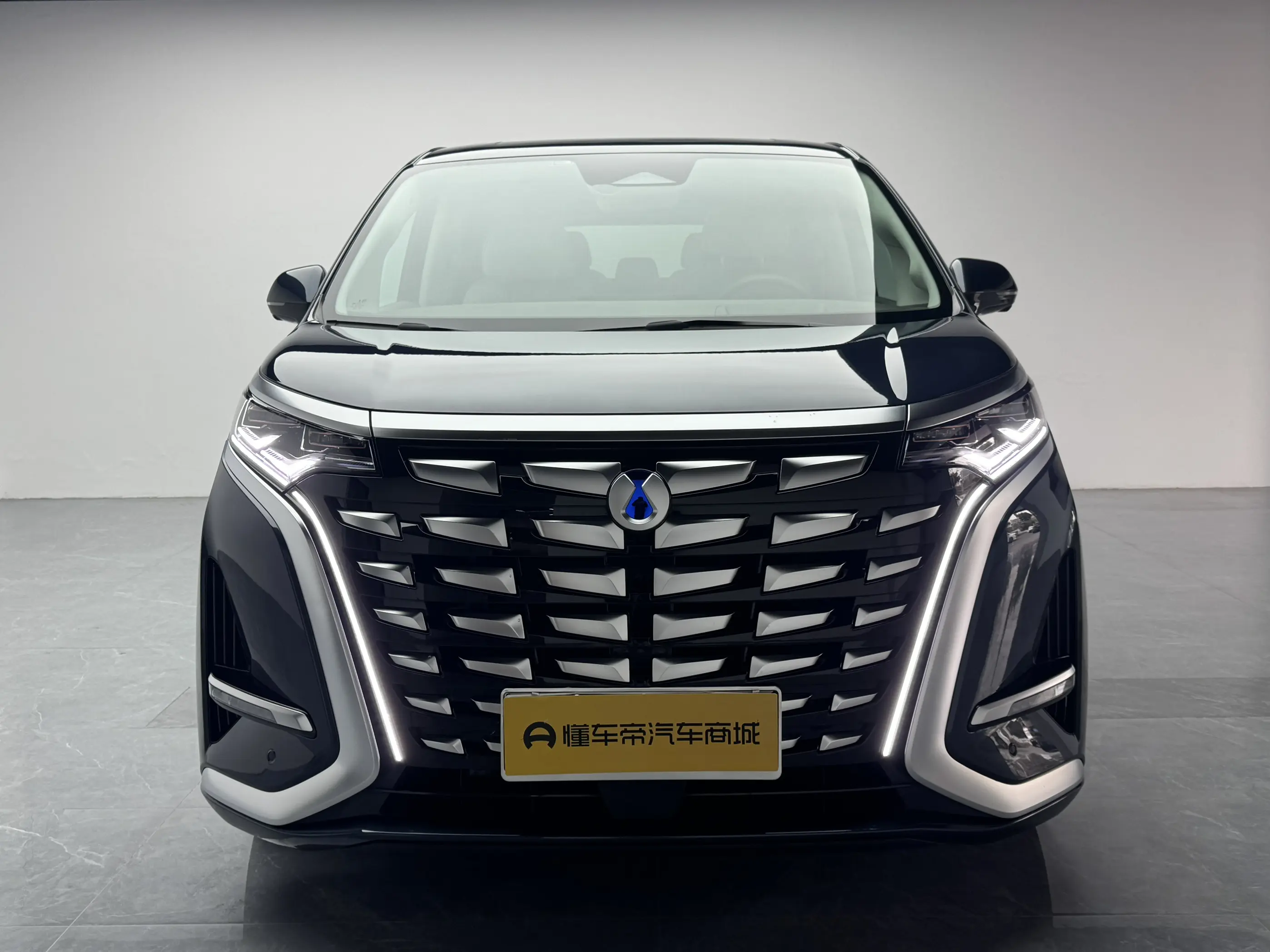 Denza D9 DM  из Китая