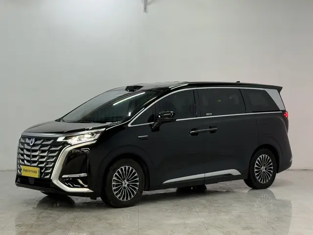 Denza D9 DM  из Китая