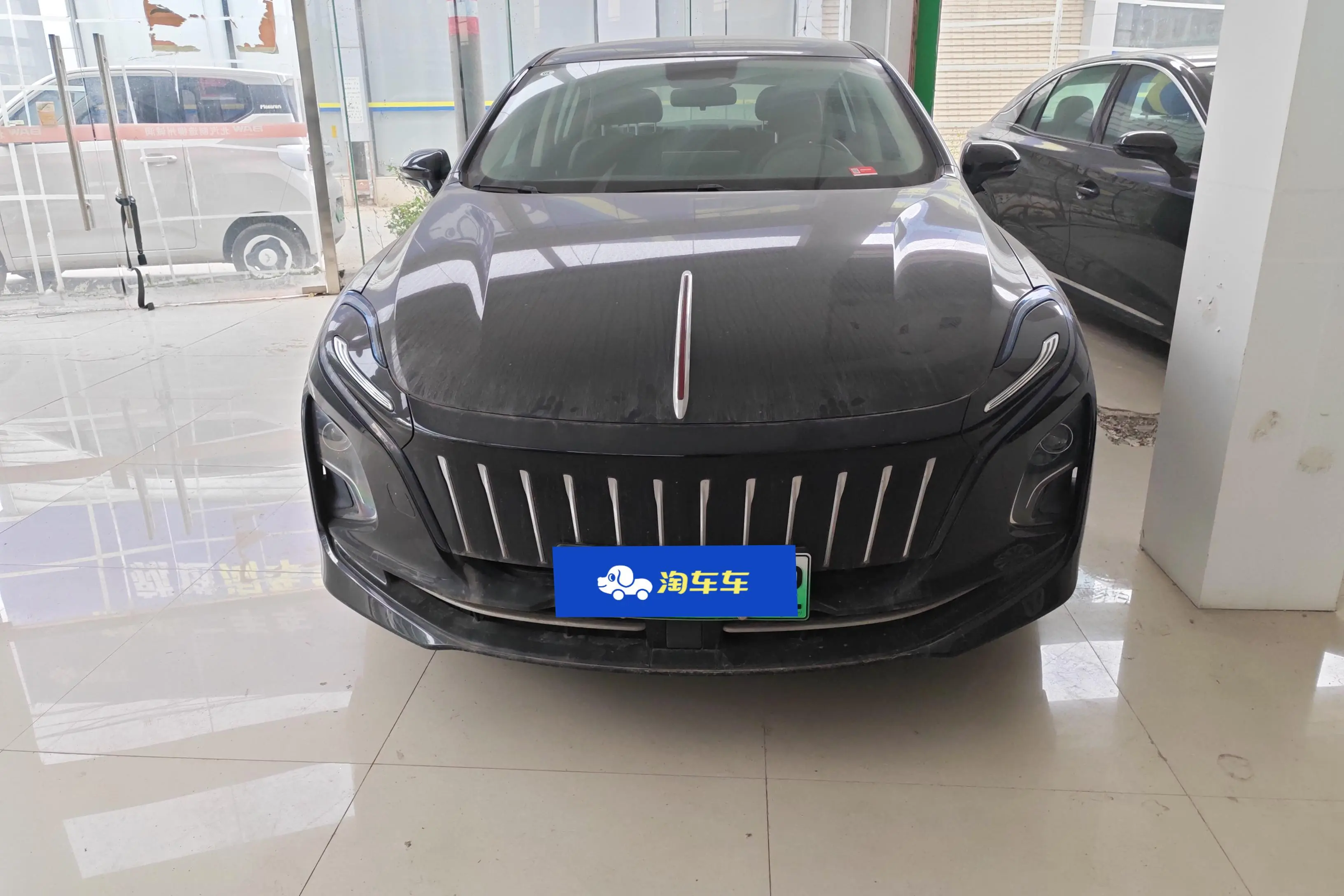 Hongqi E-QM5  из Китая