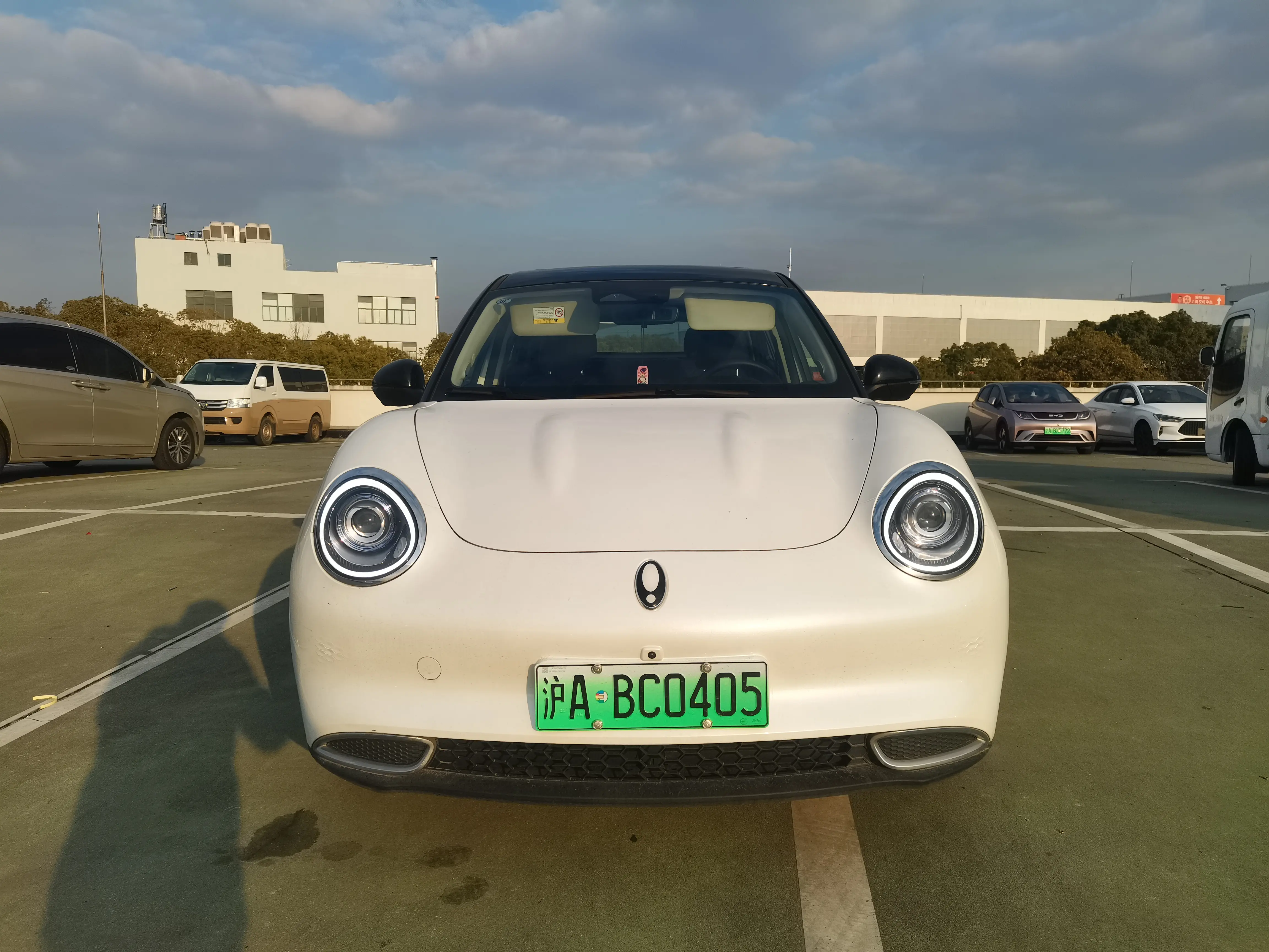 ORA Euler good cat  из Китая