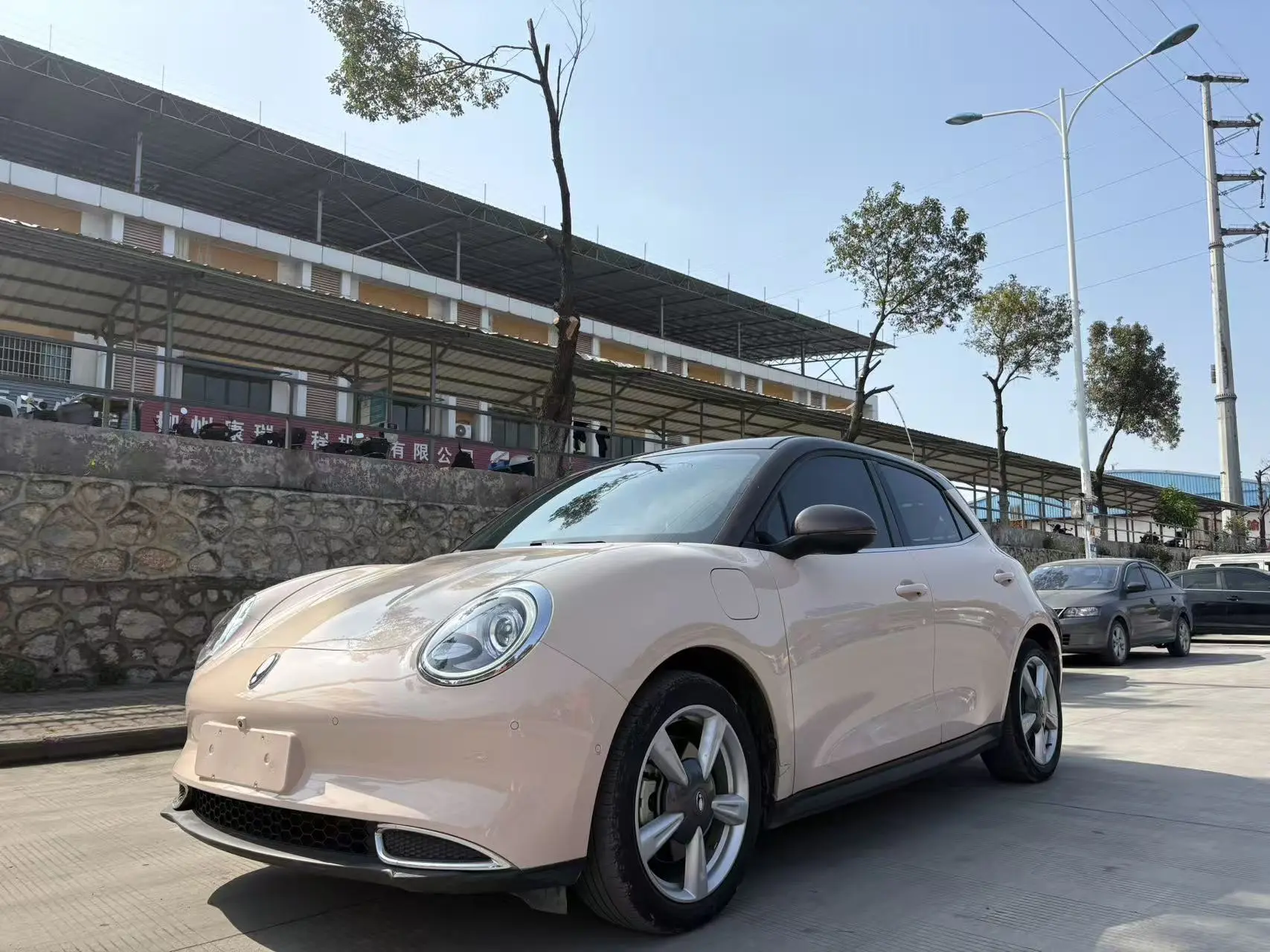 ORA Euler good cat  из Китая