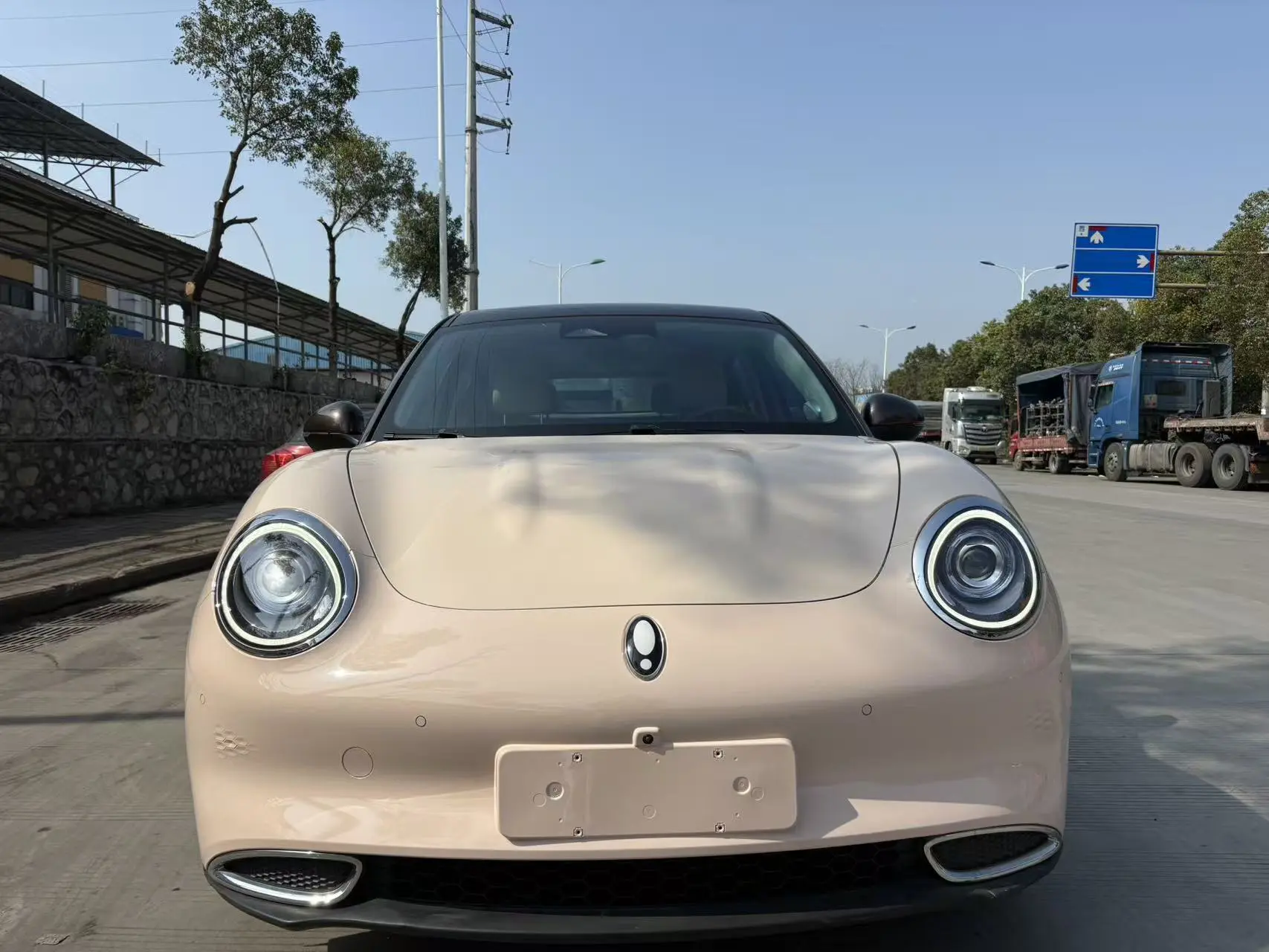 ORA Euler good cat  из Китая